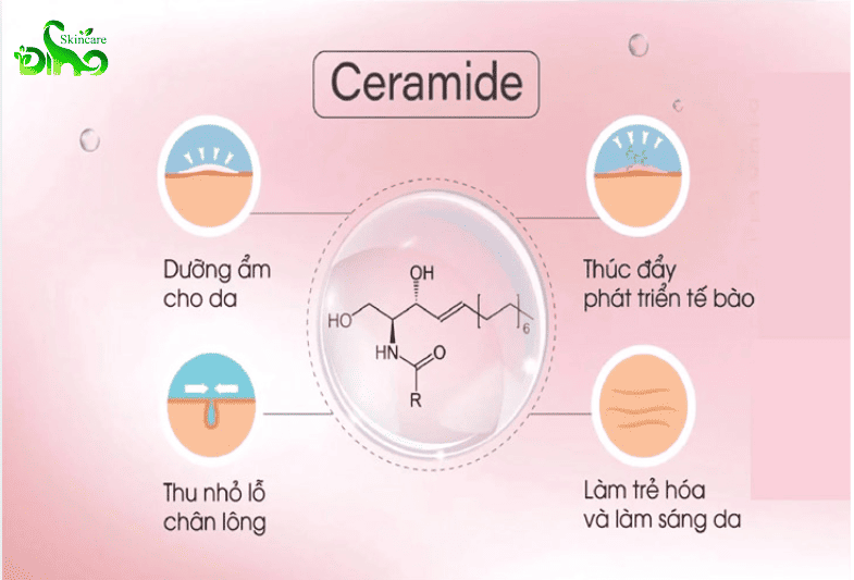 hoạt chất phục hồi da treatment- Ceramide