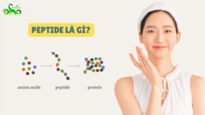 hoạt chất phục hồi da treatment- peptide