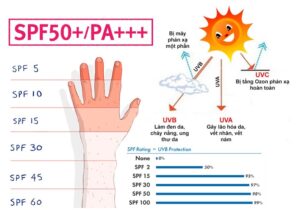 tác dụng của kem chống nắng